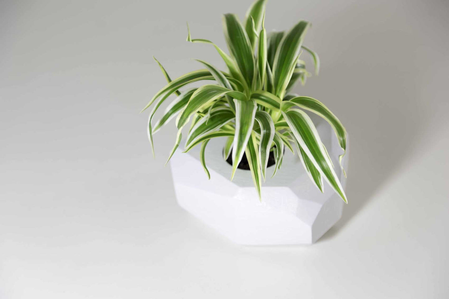 Tiesto poliédrico madera color blanco roto