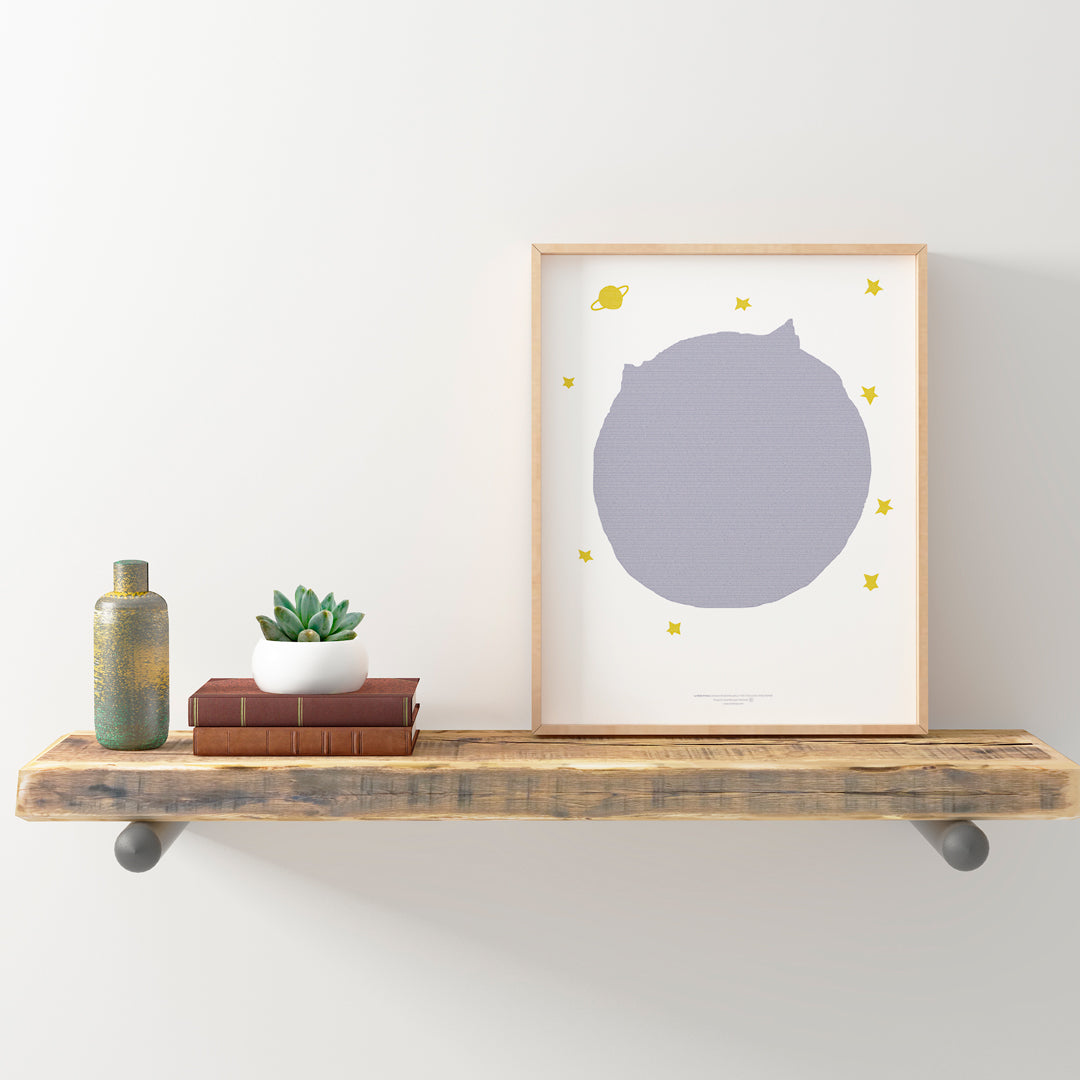 Le Petit Prince libro completo en una pagina