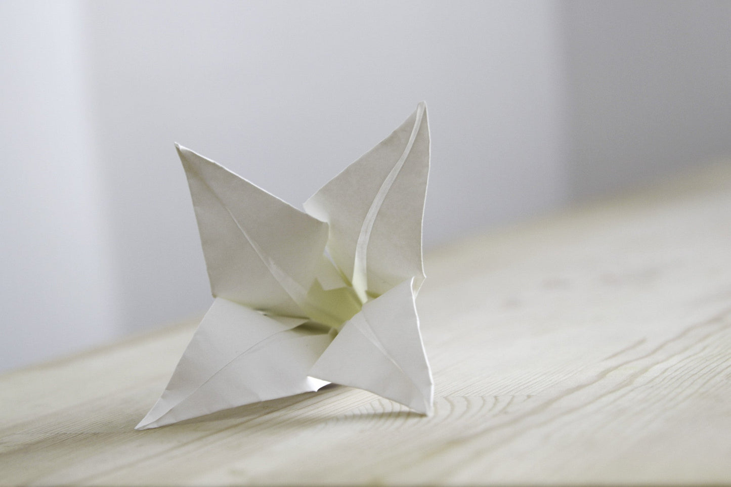 Origami la primavera muere