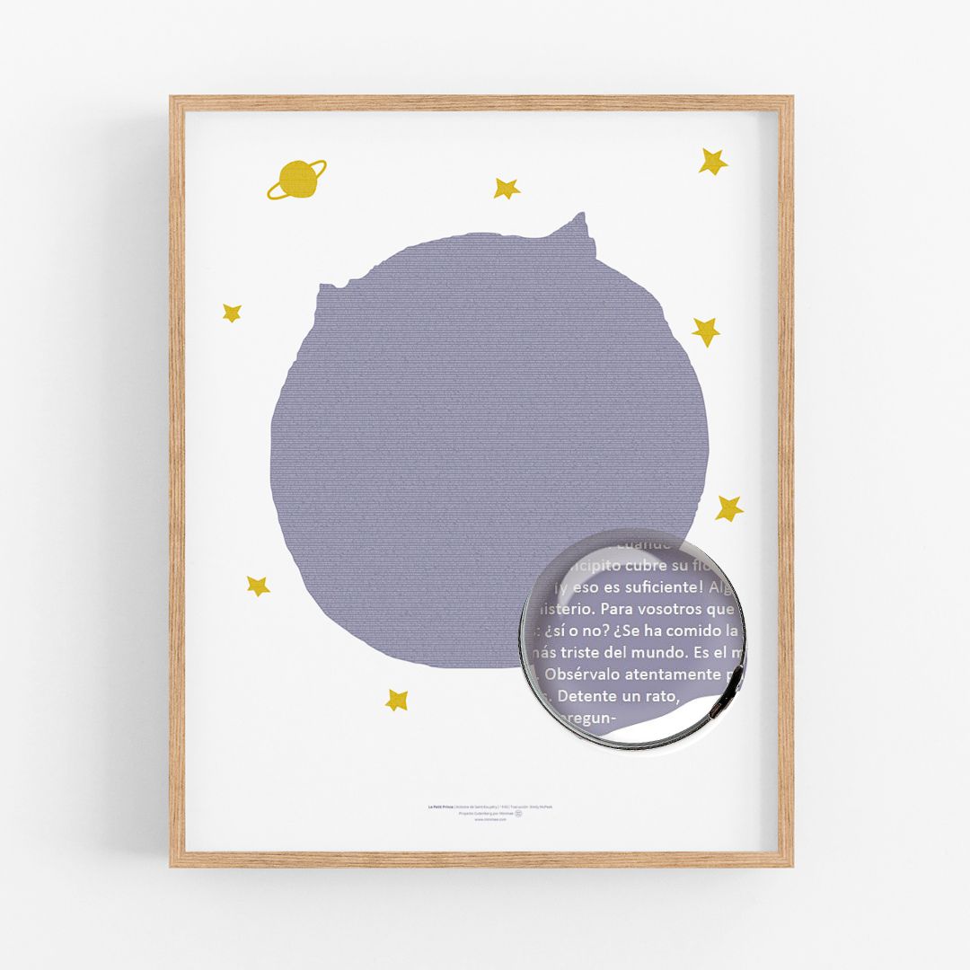 Le Petit Prince libro completo en una pagina