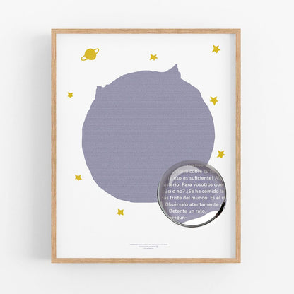 Le Petit Prince libro completo en una pagina