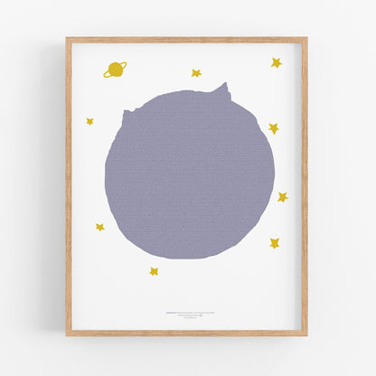 Le Petit Prince libro completo en una pagina