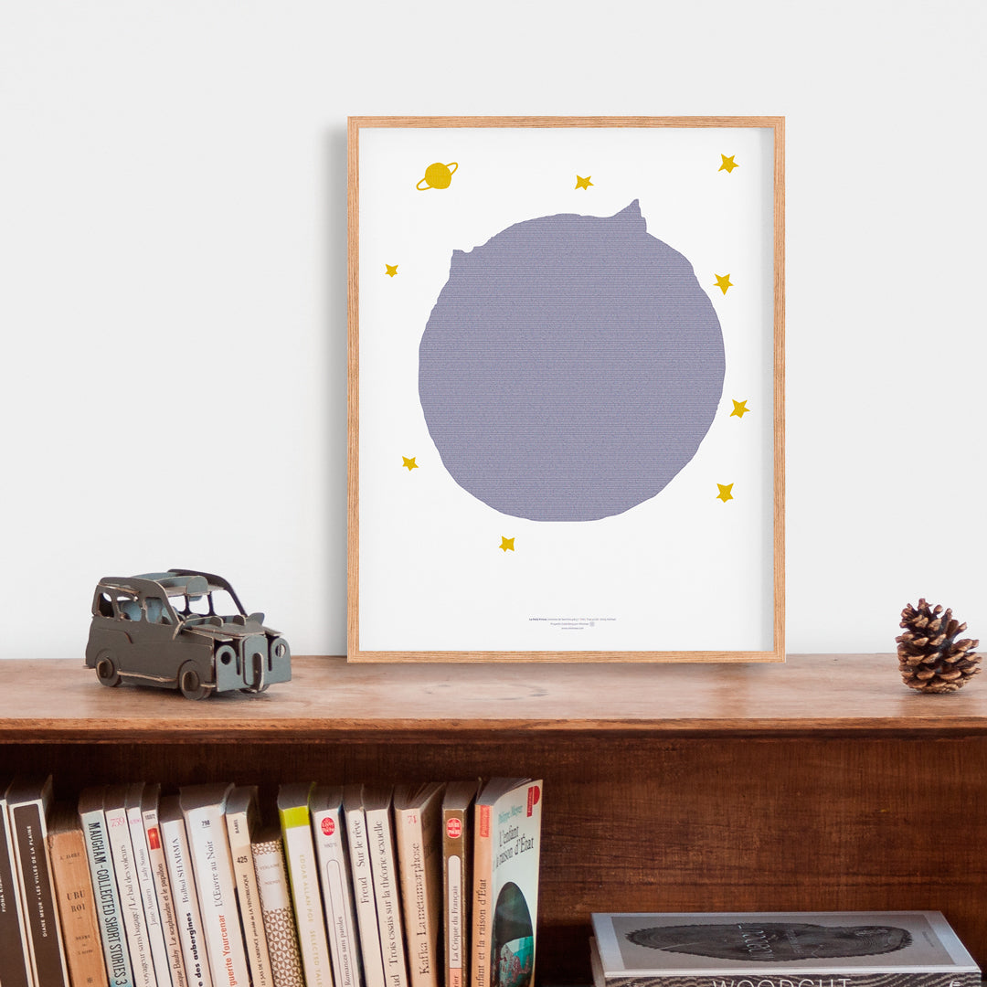 Le Petit Prince libro completo en una pagina