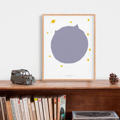 Le Petit Prince libro completo en una pagina